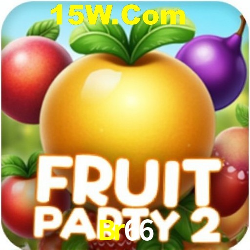 Security Systems Br66