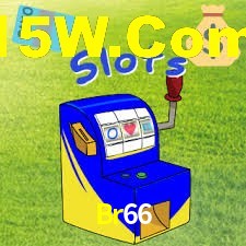 Premium Interface Br66