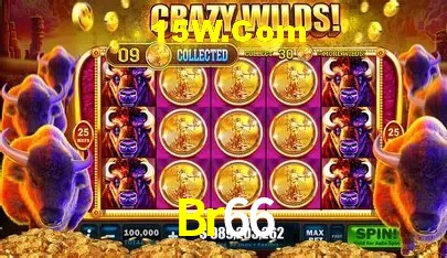 Suporte prioritário e eventos VIP