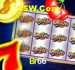 Interface moderna da plataforma Br66