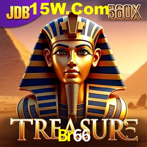 Platform Technology Br66