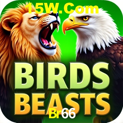 Desvendando o Mundo dos Jogos Virtuais na Br66