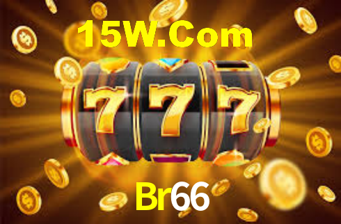 Premium Interface Br66